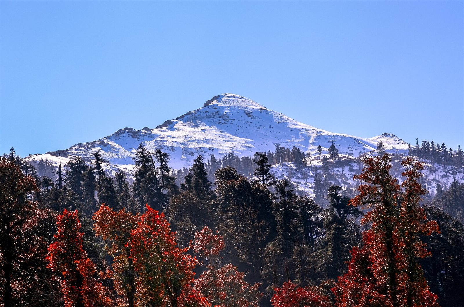Kedarkantha: India's Most Loved Winter Summit