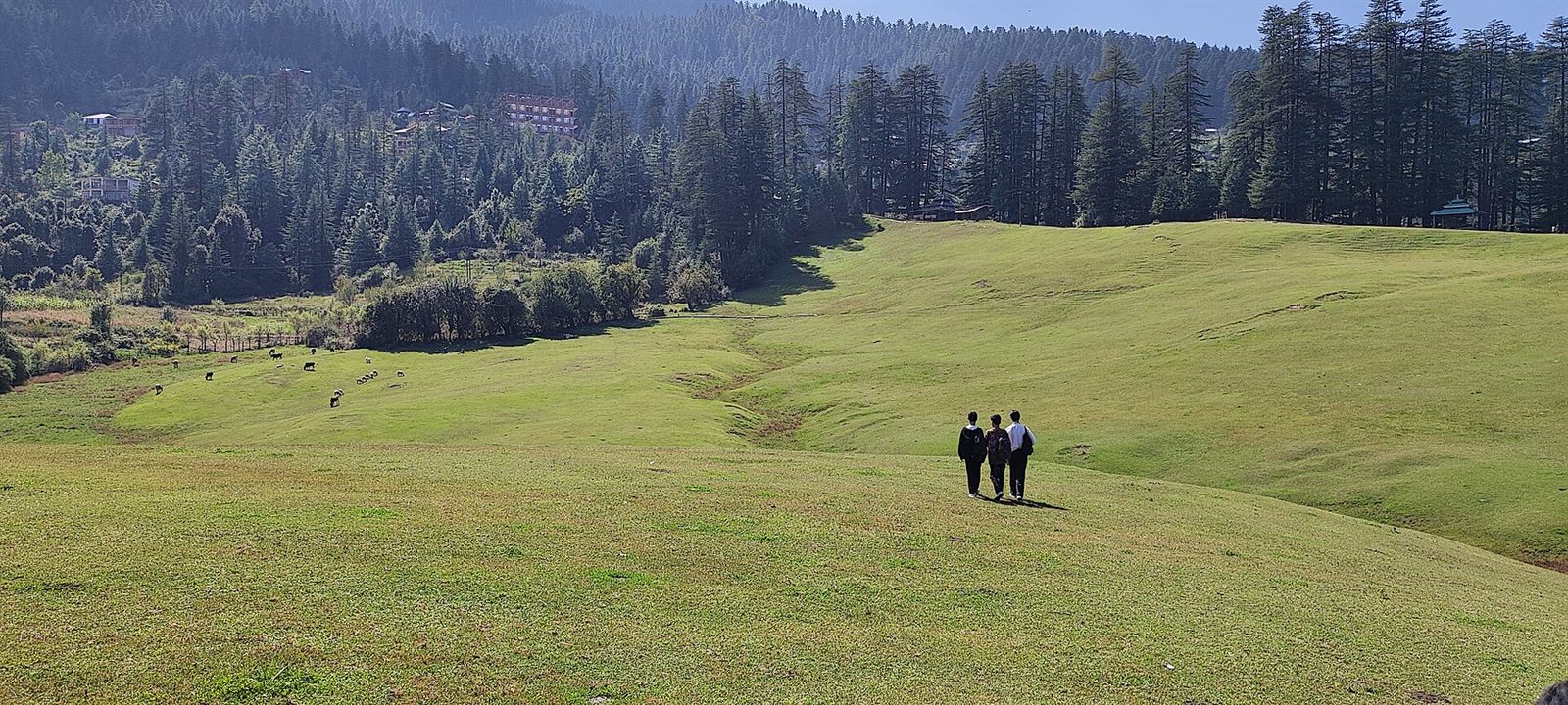 Saurkundi Pass: Meadows of the Kullu Valley