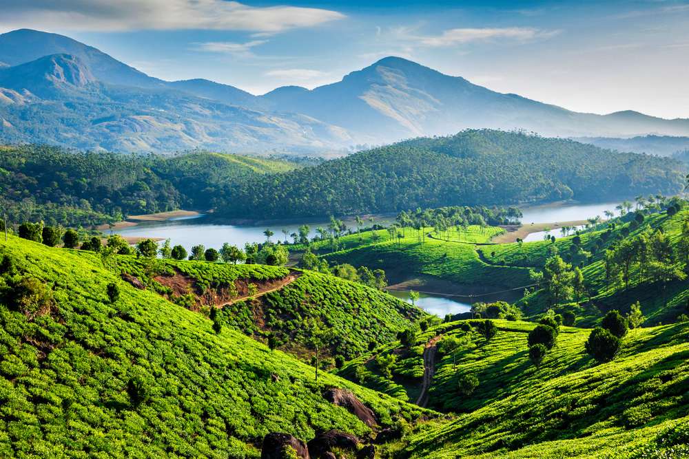 National Munnar Family Camping cum Training 2026 (By Tamil Nadu State Branch)