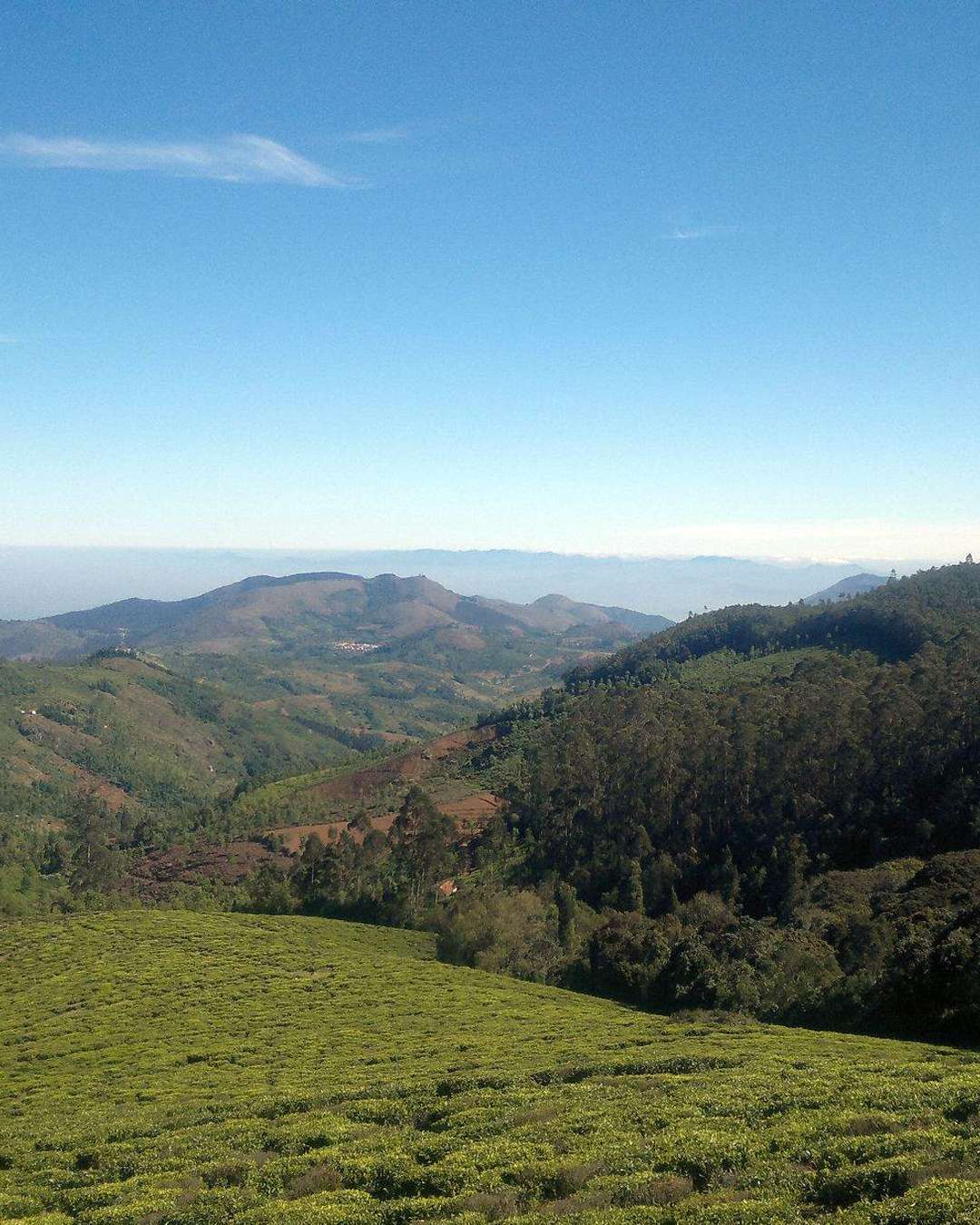 Explore Nilgiris Expedition cum Training 2026 by Tamil Nadu State Branch
