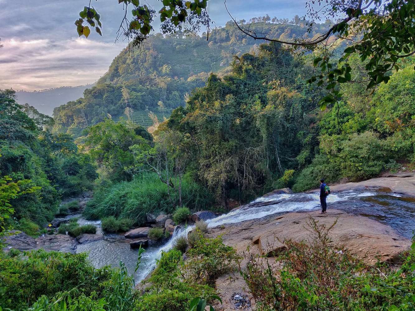 Explore Nilgiris Expedition cum Training 2026 by Tamil Nadu State Branch