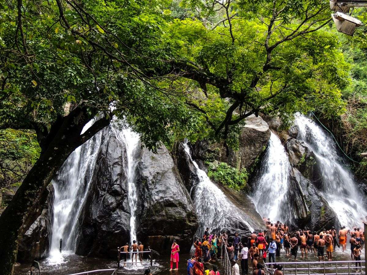 Courtallam Monsoon Trekking & Training : 2026 (By Tamil Nadu State)