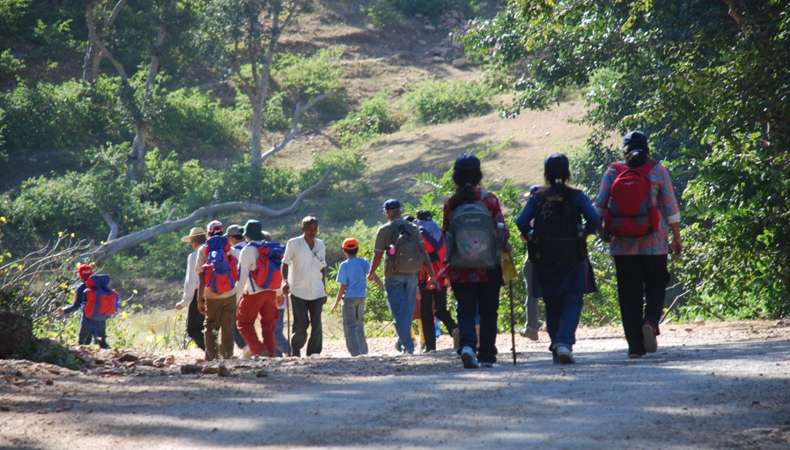 National Aravalli Ranakpur Kumbhalgarh Fort & Leopard’s & Hills Safari : 2026 (By Rajasthan State)