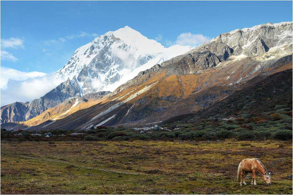 National Sikkim-Goechala Trekking Expedition 2026(By Tamil Nadu State)