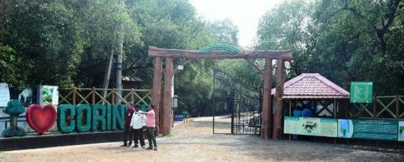 Mangrove Forest Boat Cruise Expedition Camp Yanaam (Near Kakinada)