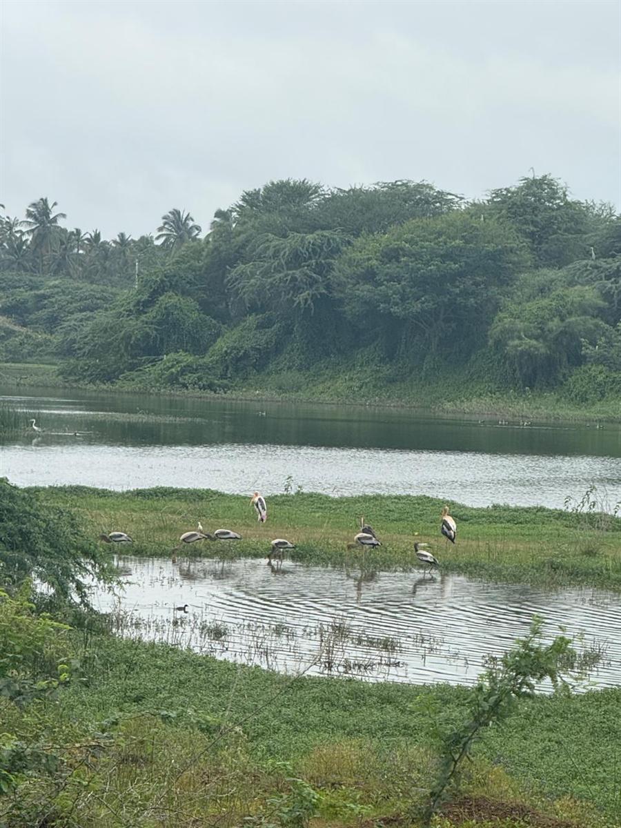 Blackbuck State Level Educative Training cum Trekking Program - 2026 (By Karnataka State)