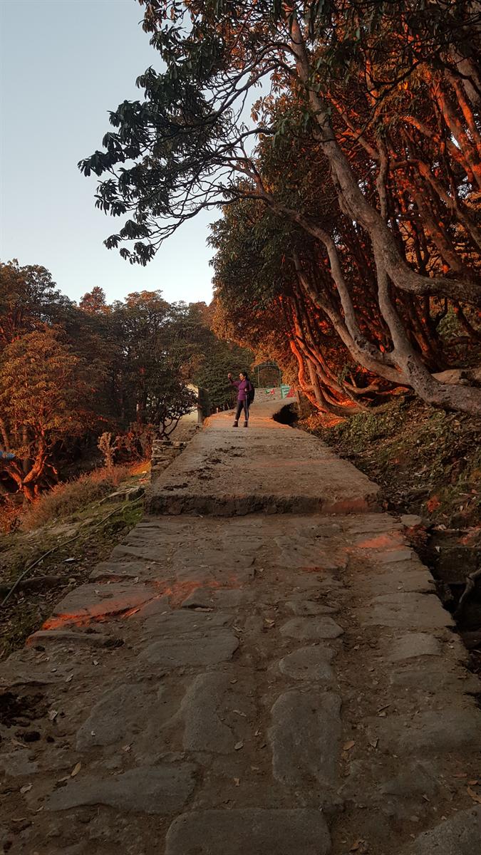 National Himalayan Trekking cum Training Expedition Deoriatal-Chopta-Tungnath-Chandrashila 2026
