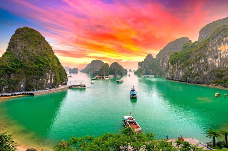 Northern & Central Vietnam International Tour 2026 (By Delhi State Branch)