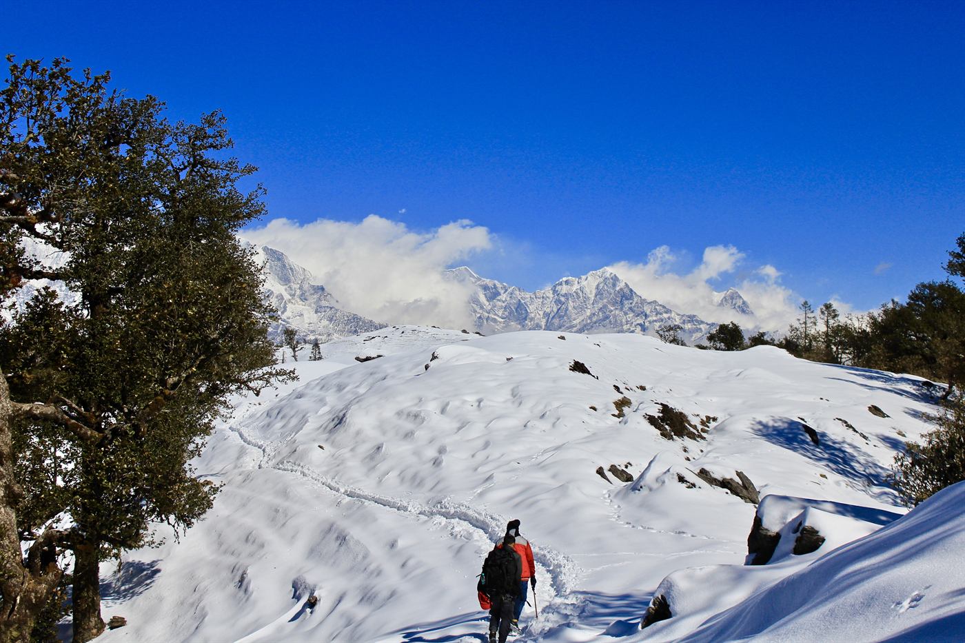 National Himalayan Brahmatal Trekking Cum Training Expedition 2026
