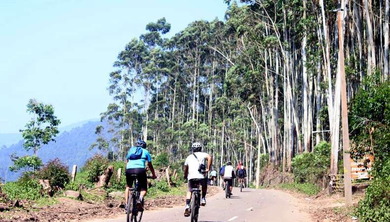 National Munnar Cycling cum Training Expedition 2026 (By Tamil Nadu State Branch)
