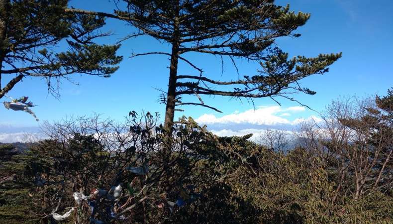 Sandakphu Phalut Gurdum Winter Trek 2026 (By West Bengal State Branch)