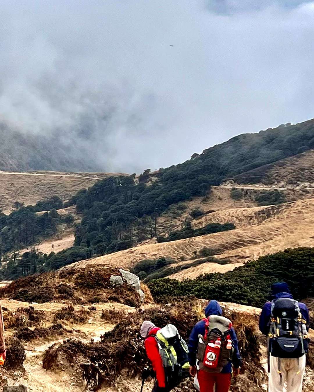 Sandakphu Phalut Gurdum Winter Trek 2026 (By West Bengal State Branch)