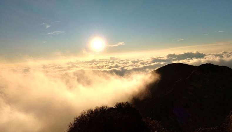 Sandakphu Phalut Gurdum Winter Trek 2026 (By West Bengal State Branch)